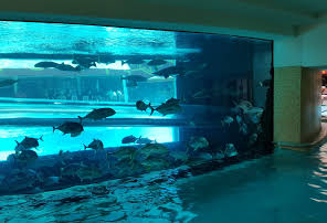 Golden Nugget Las Vegas Hotel & Casino